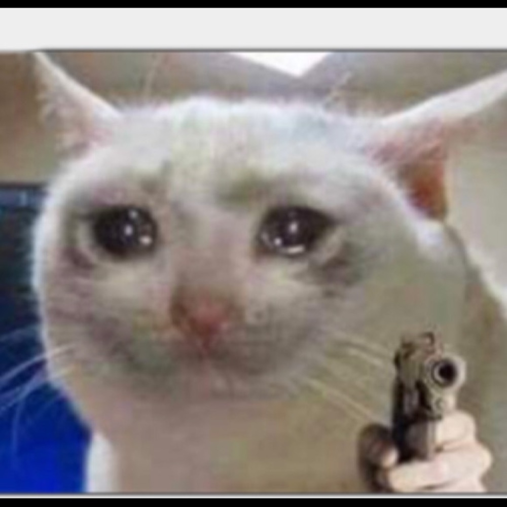 Meet your Posher, Bridget